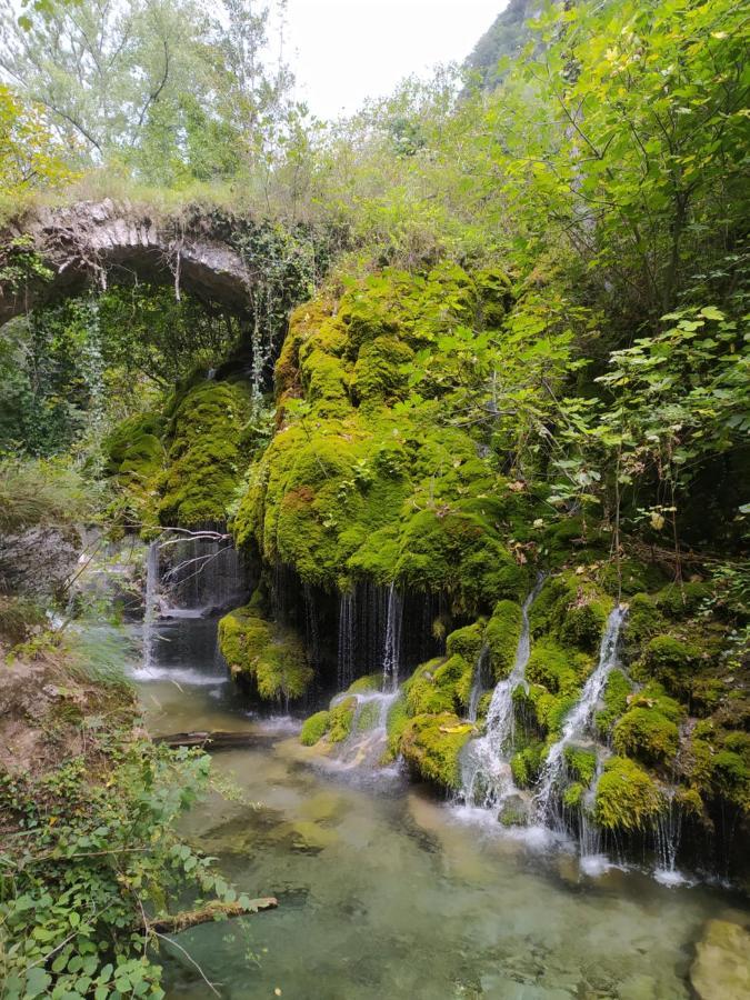 Tenuta Vallina - Golfo Di Policastro Tortorella Екстер'єр фото